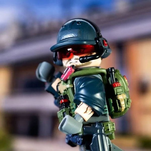 Delta Force D-Wolf