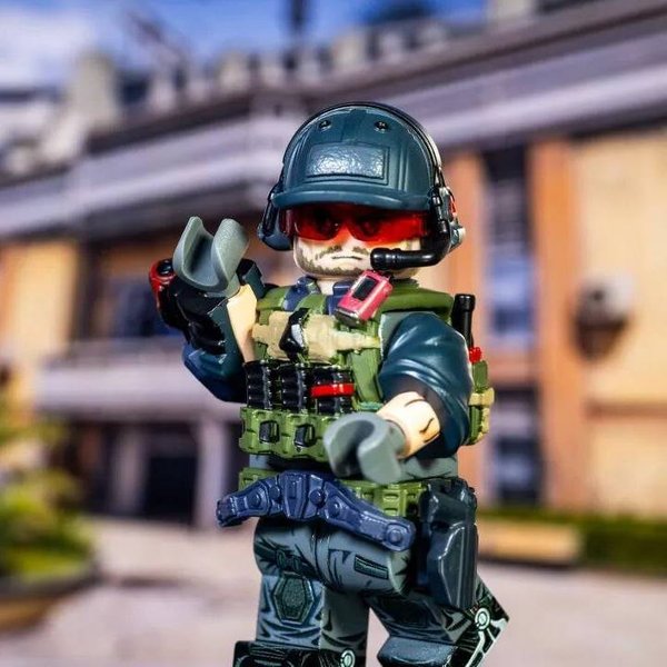 Delta Force D-Wolf